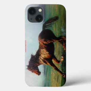 Freedom/Liberdade/Freedom iPhone 13 Case