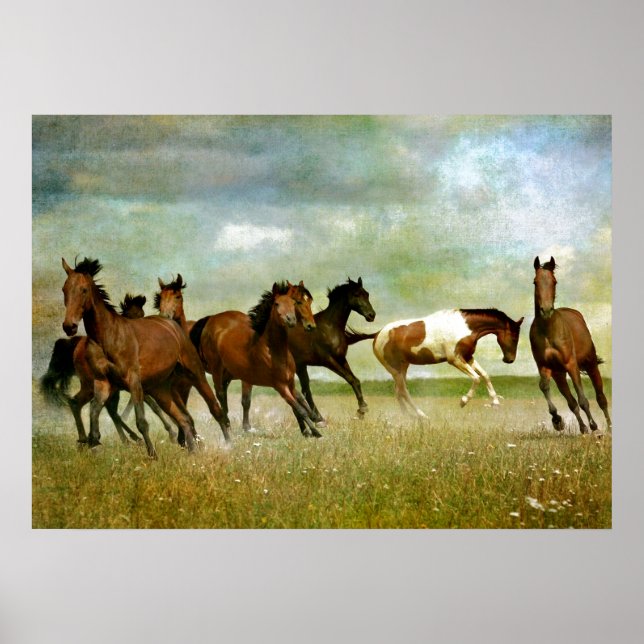 Freedom motivational artworks - Running horses ins Poster (Front)