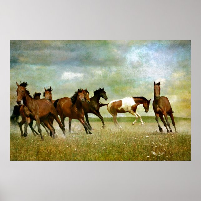 Freedom motivational artworks - Running horses ins Poster (Front)