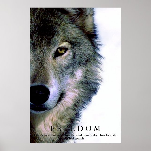 Freedom Motivational Wolf Eye Poster (Front)