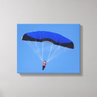 Freedom of the Skies Canvas Print