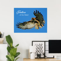 Freedom of the Skies Red-tailed Hawk