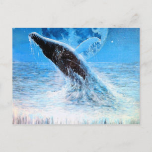 Freedom Postcard