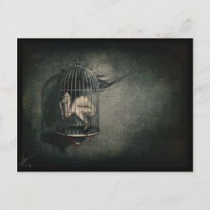 'Freedom' Postcard