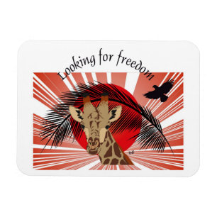 Freedom Premium Flexi Magnet