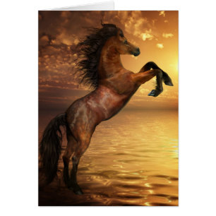 Freedom Rearing Wild Horse