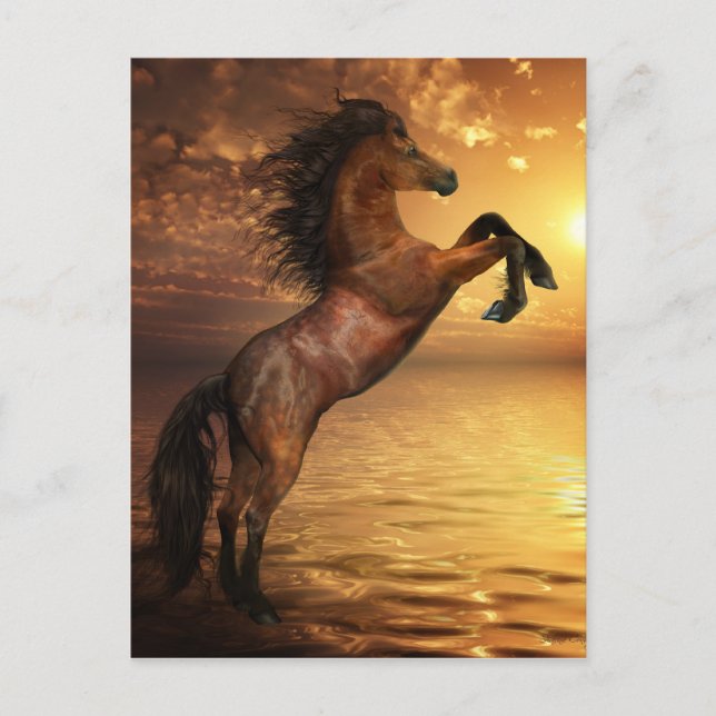 Freedom Rearing Wild Horse Postcard (Front)