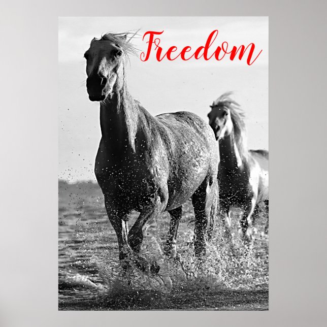 Freedom Red Black White Running Horses Poster (Front)