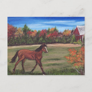 Freedom Run Postcard