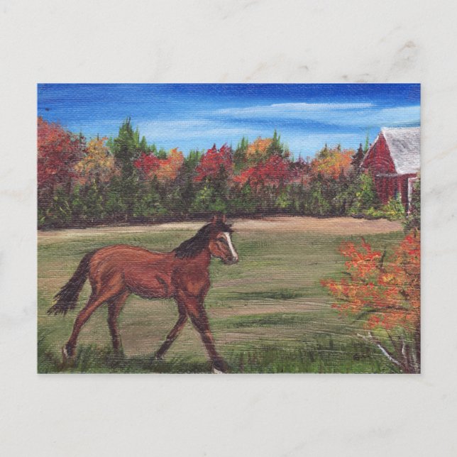 Freedom Run Postcard (Front)