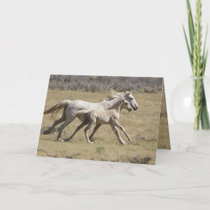 Freedom Runs Wild Horse Greeting Card