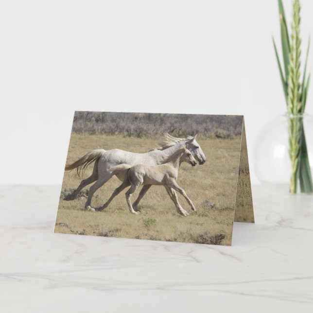 Freedom Runs Wild Horse Greeting Card (Front)
