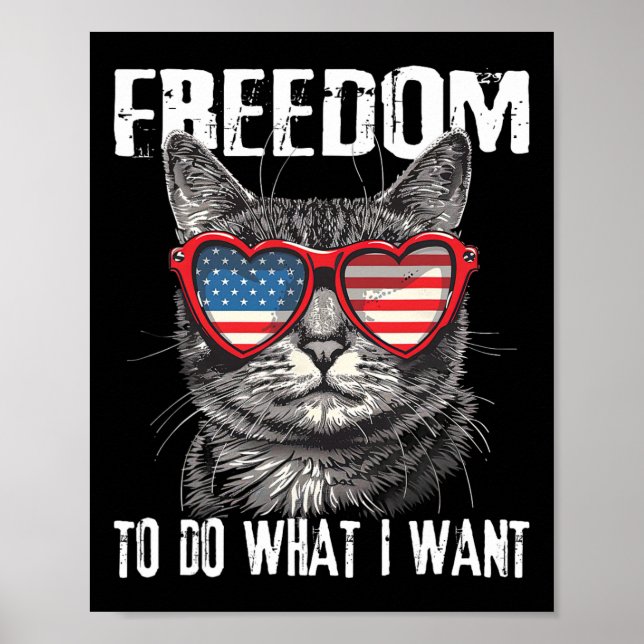 Freedom To Do What I Want 4th Of July Cat Patrioti Poster (Front)