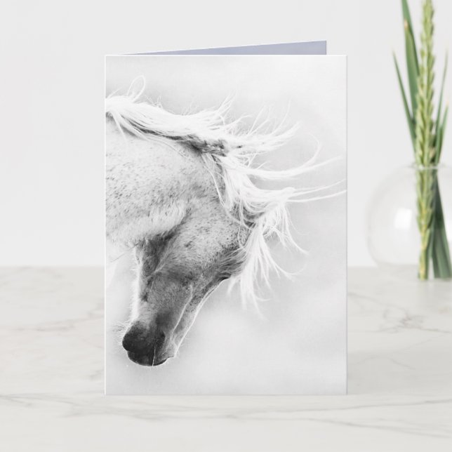 Freedom's Head Shake Wild Horse Greeting Card (Front)