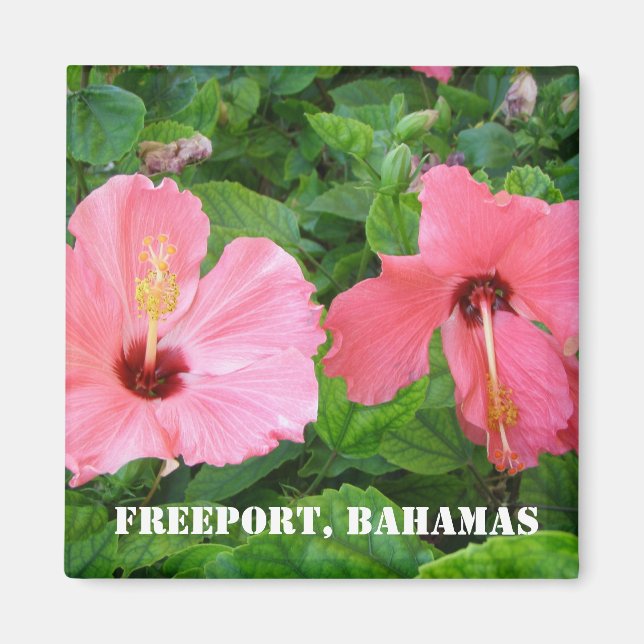 Freeport, Bahamas Magnet (Front)