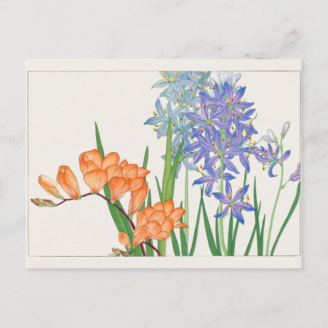 Freesia, African lily by Tanigami Konan Postcard (Front)