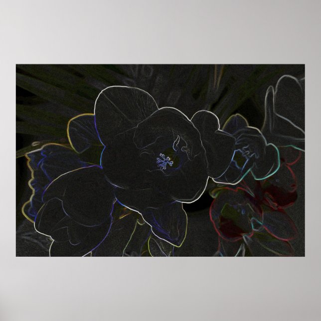 freesia flowers outlined poster (Front)