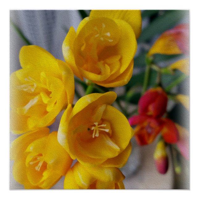 freesias bouquet poster (Front)