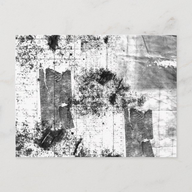 Freestyle In Black And White Postcard (Front)