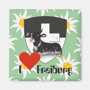 Freiburg Fribourg Schweiz Suisse Magnete Magnet