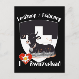 Freiburg / Fribourg Schweiz Suisse Postkarte Postcard
