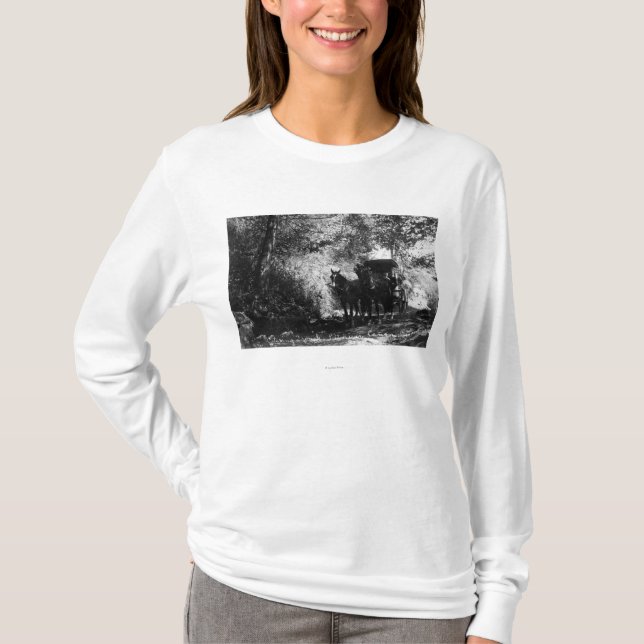 Freight Horses Taking a Break T-Shirt (Front)