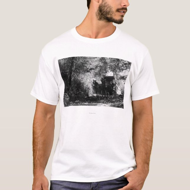 Freight Horses Taking a Break T-Shirt (Front)