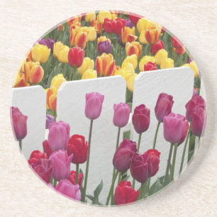 Fremont Solstice Parade Coaster