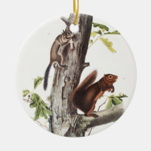 Fremont's Squirrel and Sooty Squirrel Illustration Ceramic Tree Decoration