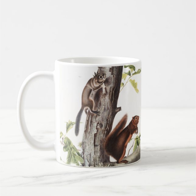 Fremont's Squirrel and Sooty Squirrel Illustration Coffee Mug (Left)