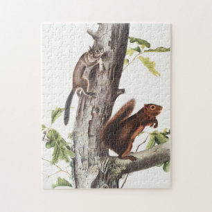 Fremont's Squirrel and Sooty Squirrel Illustration Jigsaw Puzzle