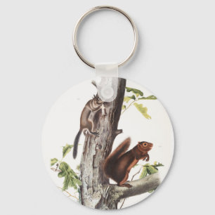 Fremont's Squirrel and Sooty Squirrel Illustration Key Ring
