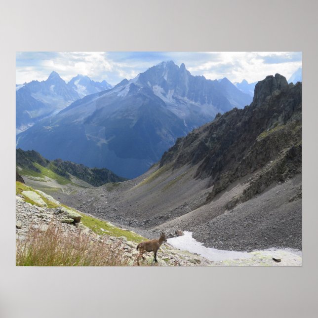 French Alps Chamonix Ibex Poster (Front)