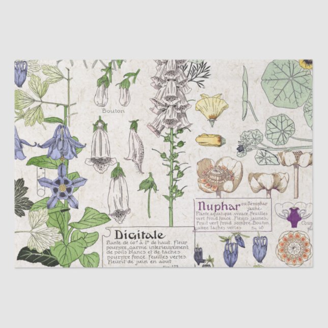 French Art Nouveau Foxglove Flowers Tissue Paper (Front)