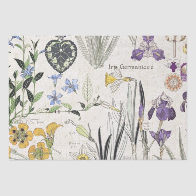 French Art Nouveau Iris Flowers Tissue Paper (Front)