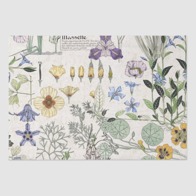 French Art Nouveau Poppy Flowers Tissue Paper (Front)