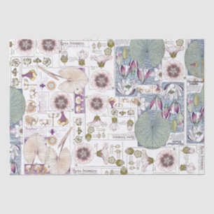 French Art Nouveau Waterlily Flowers Tissue Paper