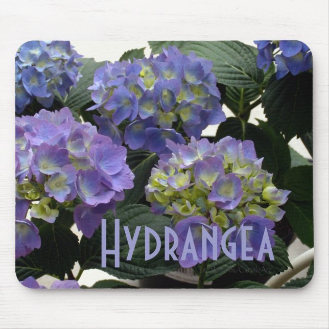 French Baby Blue Hydrangeas Mouse Mat (Front)