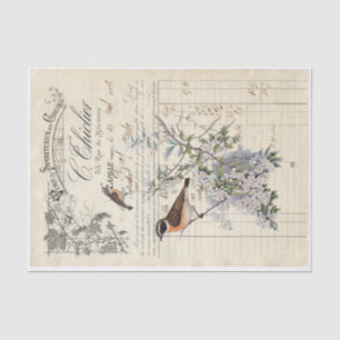 french bird receipt decoupage tissue paper