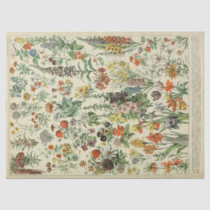 French Botanical Annual Flowers Tissue Paper