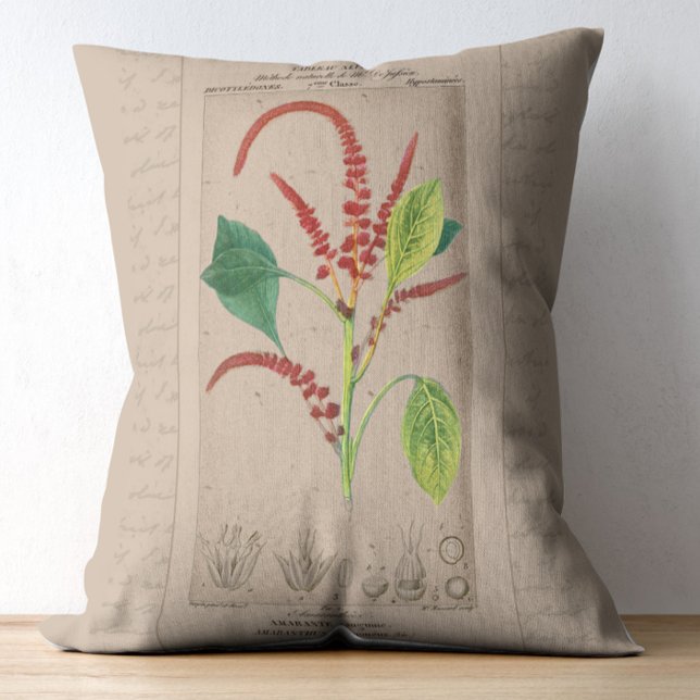 French Botanical Illustration Amaranthus Decorative Cushion (Creator Uploaded)