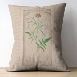 French Botanical Illustration Hartwort Decorative Cushion