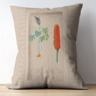 French Botanical Illustration Snakelily Decorative Cushion