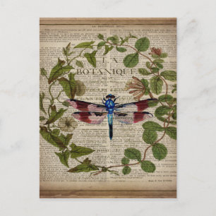french botanical leaves modern vintage dragonfly postcard
