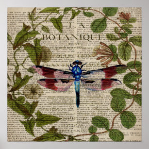 french botanical leaves modern vintage dragonfly poster