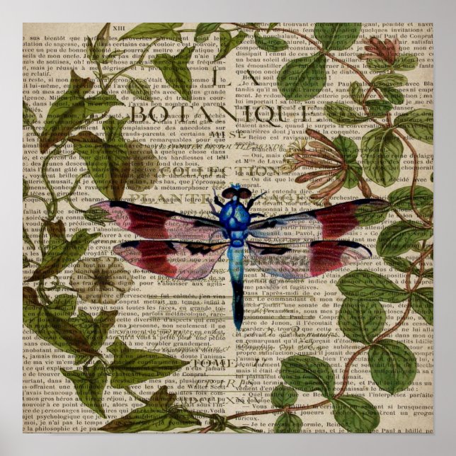 french botanical leaves modern vintage dragonfly poster (Front)