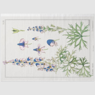 French botanical monkshood tissue paper