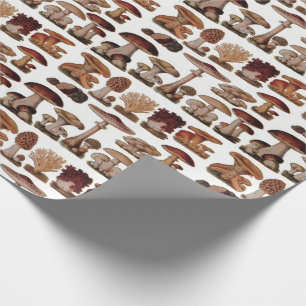 french botanical woodland vintage mushroom wrapping paper