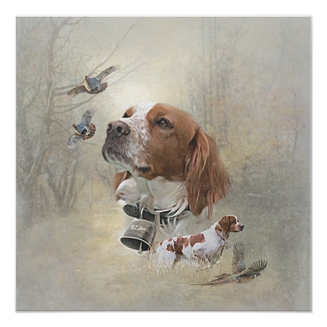 French Brittany, Bird Hunting Art  Poster (Front)