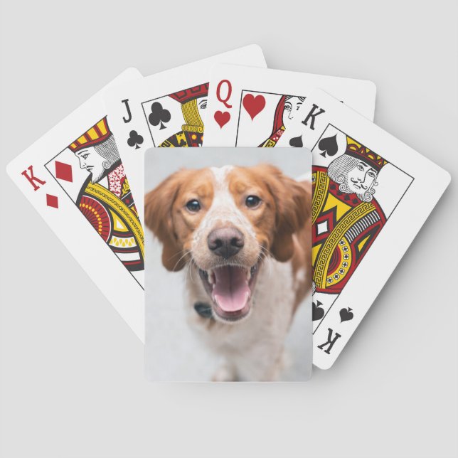 French Brittany Spaniel Playin Cards (Back)
